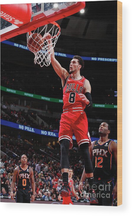 Chicago Bulls Wood Print featuring the photograph Zach Lavine by Jeff Haynes