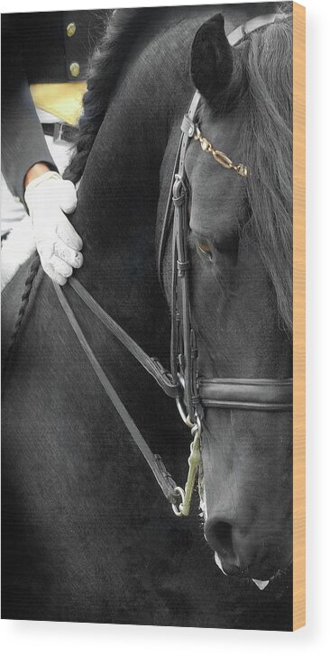 Friesian Competition Wood Print featuring the photograph Good Boy by Fran J Scott