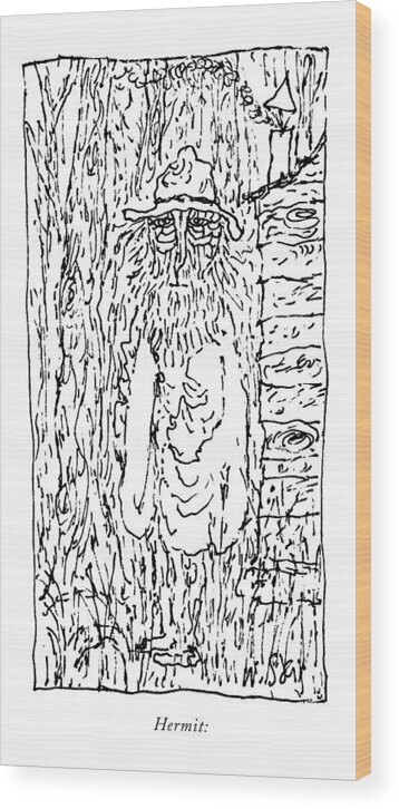 Art Woodcut Artwork Age Old Man Hermit Beard Crazy Artkey 40940 Wood Print featuring the drawing Hermit: by William Steig