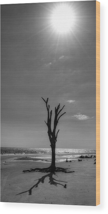 Jekyll Island Wood Print featuring the photograph Long Shadow on Jekyll Island in Black and White by Greg and Chrystal Mimbs