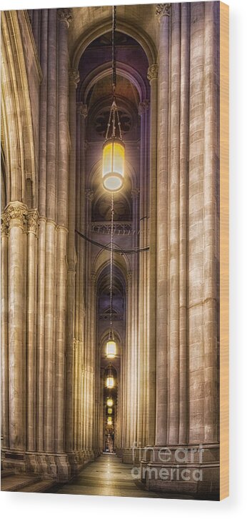 Architecture Wood Print featuring the photograph Row of Columns by Jerry Fornarotto