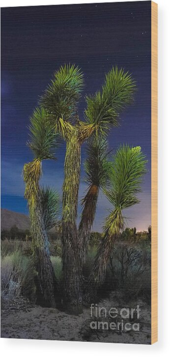 Desert Moon Wood Print featuring the photograph STaR GaZinG by Angela J Wright