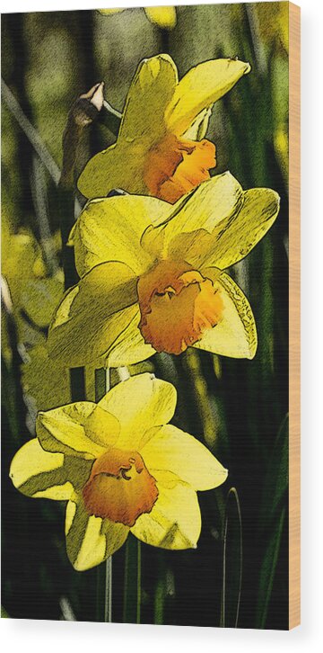 Narcissus Wood Print featuring the digital art Sumi-e in yellow by Elena Perelman