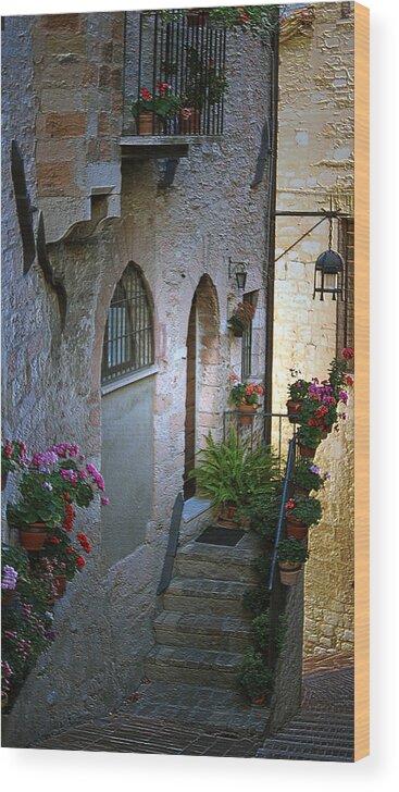 Italy Wood Print featuring the photograph Italian Welcome Home by Amee Cave