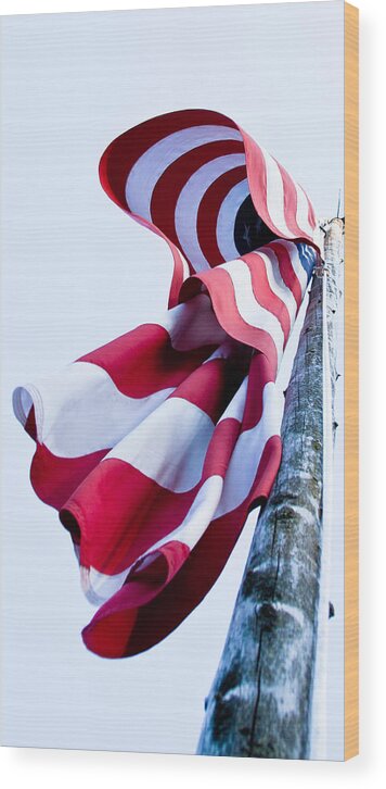 Flag Wood Print featuring the photograph Old Glory by David Patterson