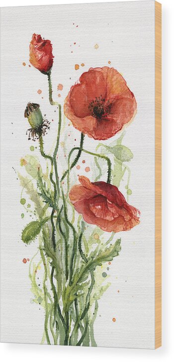 Red Poppy Wood Print featuring the painting Red Poppies Watercolor by Olga Shvartsur