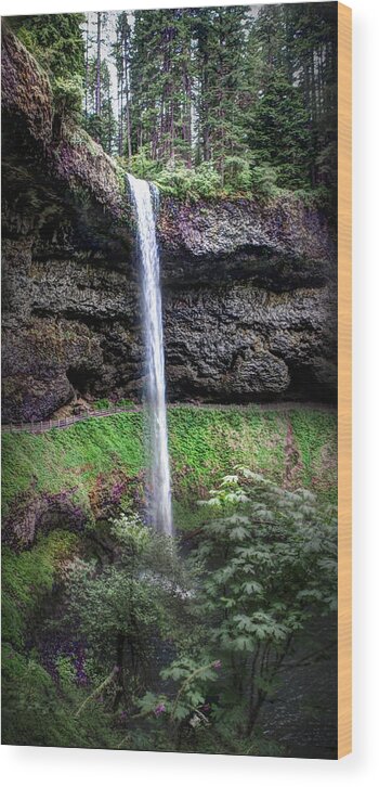 Waterfall Wood Print featuring the photograph Silver State Waterfall #1 by Ryan Smith