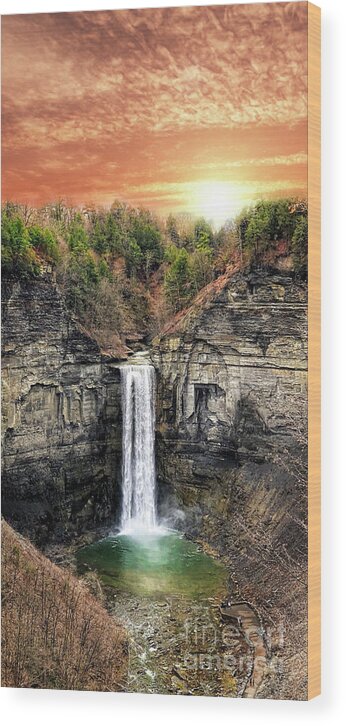 Falls Wood Print featuring the digital art Taughannock Falls, Ithaca, New York #2 by Amy Cicconi