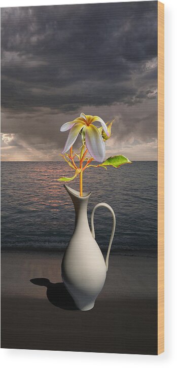Beach Wood Print featuring the photograph 4416 by Peter Holme III