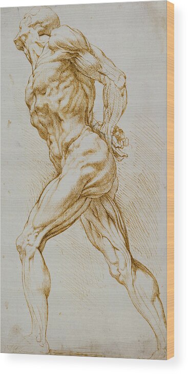 Rubens Wood Print featuring the drawing Anatomical study by Rubens