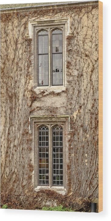 Winter Wood Print featuring the photograph Lancet windows and climbers around them. Winter time. by Elena Perelman