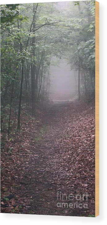 Shenandoah National Park Wood Print featuring the photograph Out of the Fog by Scott Heister