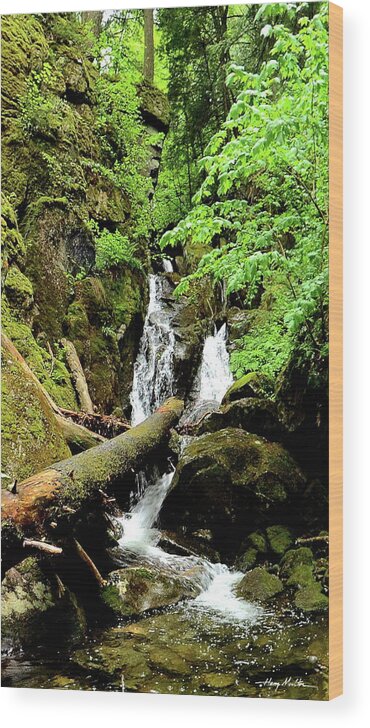 Waterfalls Wood Print featuring the photograph Porteus Falls by Harry Moulton