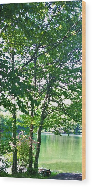 Catskills Wood Print featuring the photograph The Catskills by Lisa Dunn