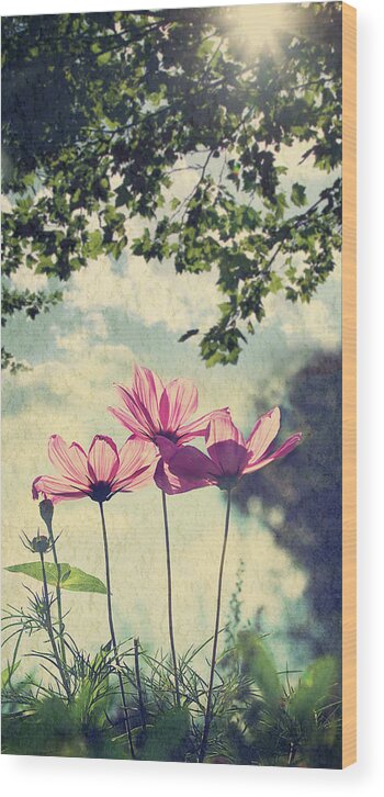 Grass Wood Print featuring the photograph French Wild Flowers by Kelly Sillaste