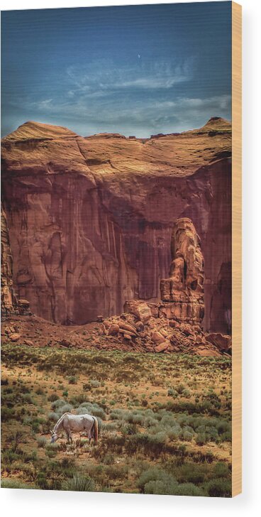 Wild Wood Print featuring the photograph A wild horse in the Monument Valley by Micah Offman