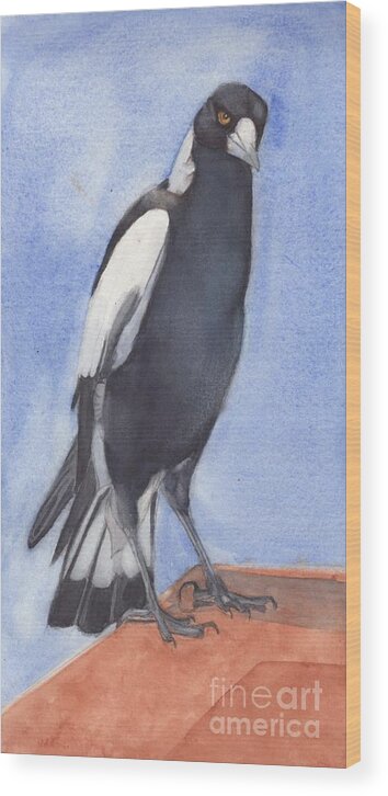 Magpie Wood Print featuring the painting Magpie -Wiradjuri - Garrubang by Vicki B Littell