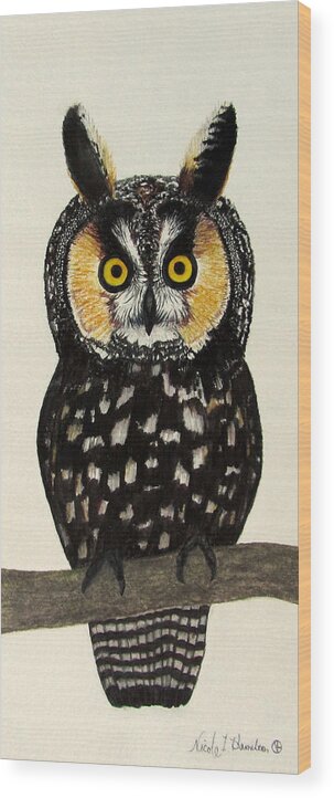 Owl Wood Print featuring the painting Canadian Long Eared Owl by Nicole I Hamilton