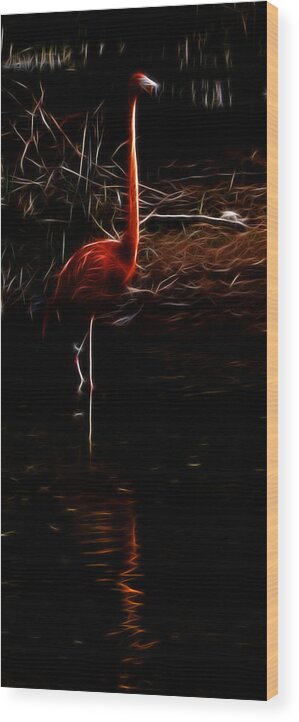Fire Flamingo Wood Print featuring the photograph Fire Flamingo by Weston Westmoreland