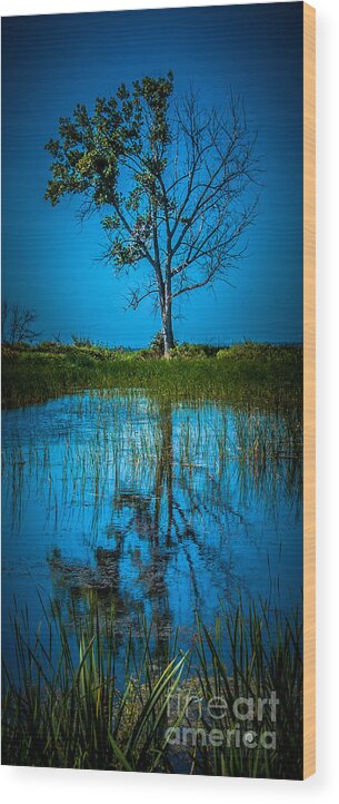 Tree Wood Print featuring the photograph Half Alive by Ronald Grogan