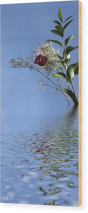 Roses Wood Print featuring the photograph Rosy Reflection - Right Side by Gravityx9 Designs