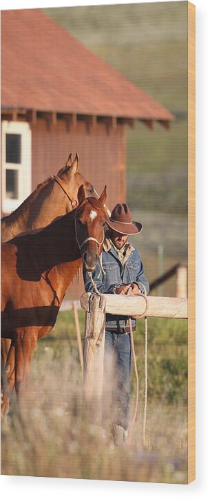 Wyoming Wood Print featuring the photograph Day Thoughts by Diane Bohna