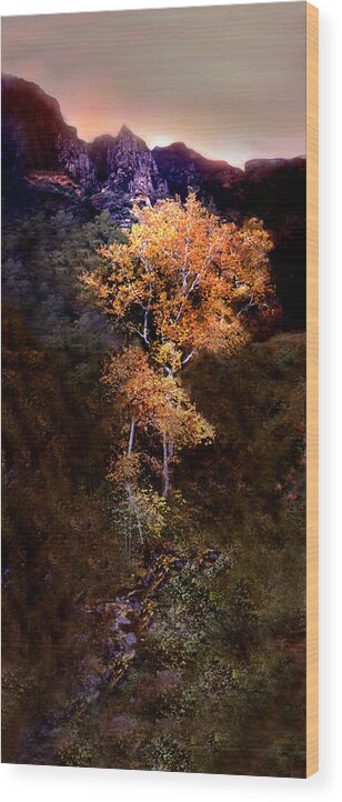 Oak Creek Canyon. Sedona . Flagstaff Wood Print featuring the photograph Oak Creek Canyon by Joe Hoover