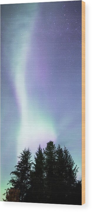 Alaska Wood Print featuring the photograph Northern Lights in Southeast Alaska by Michele Cornelius