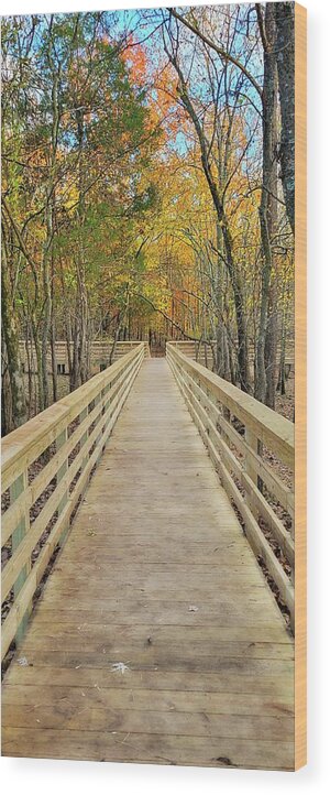 Nature Wood Print featuring the photograph A Bridge Through the Forest #1 by Ally White