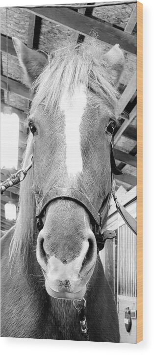  Wood Print featuring the photograph Cheval #1 by Scott Hovind
