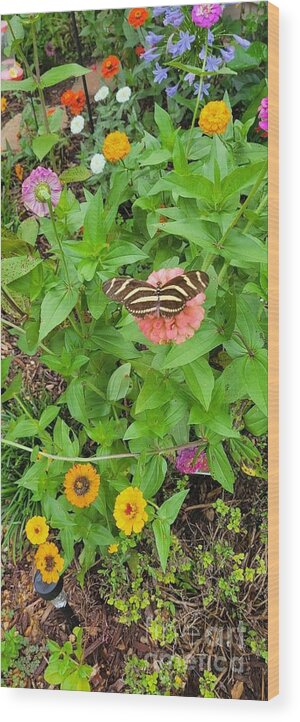 Flowers Wood Print featuring the photograph Butterfly on Wild Flowers I by Joe Roache