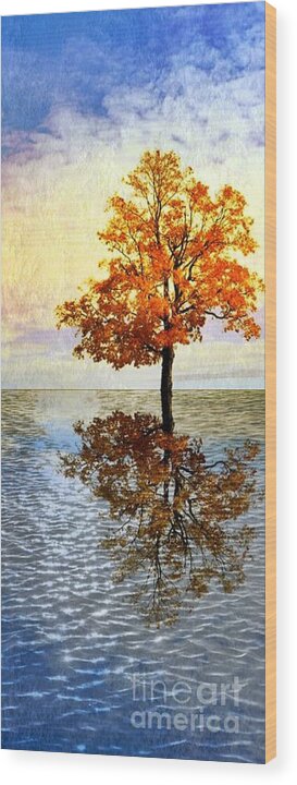 Autumn Wood Print featuring the photograph Autumn Reflections by Lilliana Mendez