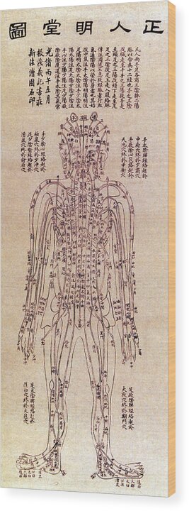 Science Wood Print featuring the photograph Chinese Acupuncture Chart, 1906 by Science Source