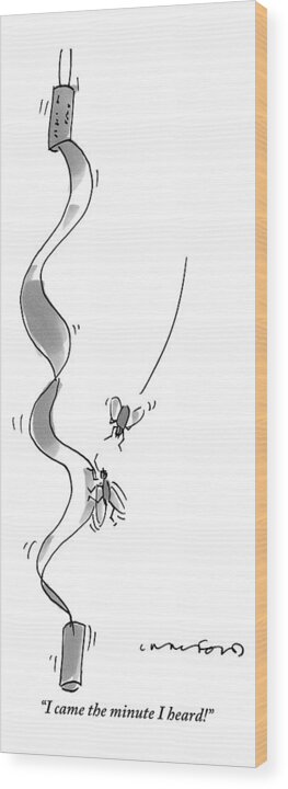 Flies Wood Print featuring the drawing One Fly Rushes To The Aid Of Another by Michael Crawford