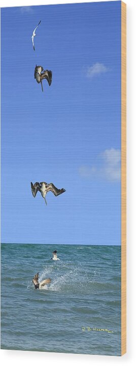 Pelican Wood Print featuring the photograph Fishing with Friend #2 by R B Harper