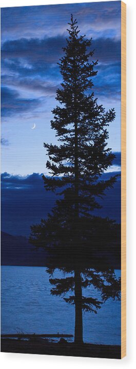 Leadville Wood Print featuring the photograph Turquoise Lake Twilight by Adam Pender