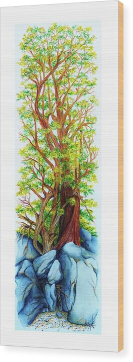 Sequoia Wood Print featuring the painting Rooted by Katherine Young-Beck