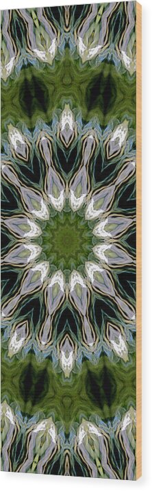 Mandala Wood Print featuring the photograph Delight 12 by Lisa Lipsett