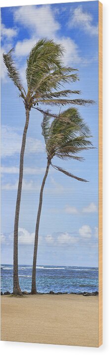 Skinny Wood Print featuring the photograph Skinny Palms by Kelley King