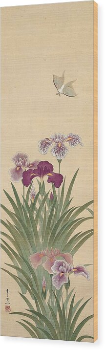 Irises And Moth Wood Print featuring the painting Irises and Moth by Suzuki Kiitsu 
