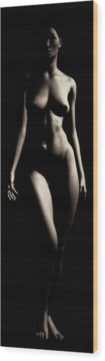 Adult Wood Print featuring the photograph Study of Carine Frontside by Jan Keteleer
