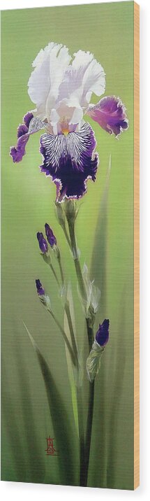 Russian Artists New Wave Wood Print featuring the painting Bi-colored Iris Flower by Alina Oseeva