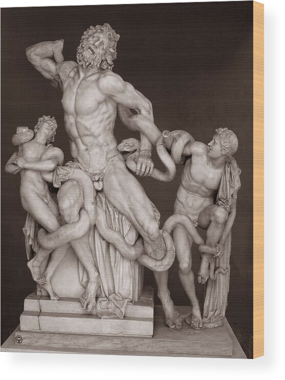 Sculpture Wood Print featuring the photograph Laocoon and His Sons #1 by Michael Kirk