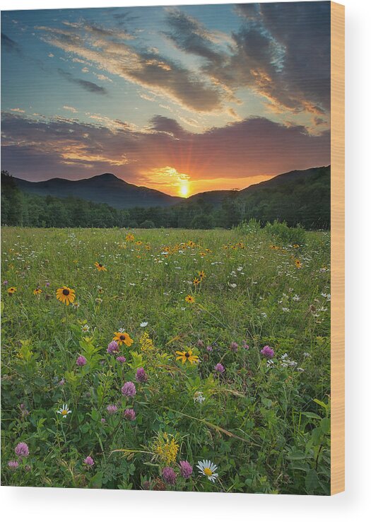 Landscape Wood Print featuring the photograph Wildflower Sunset #1 by Darylann Leonard Photography