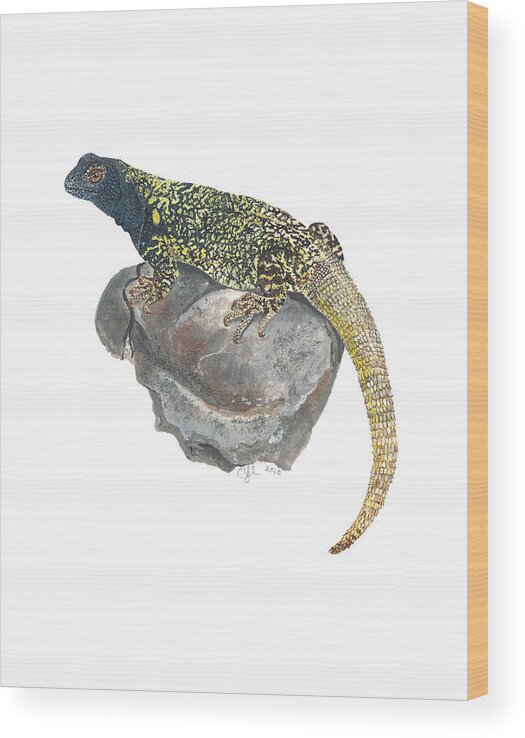 Lizard Wood Print featuring the painting Argentine lizard by Cindy Hitchcock