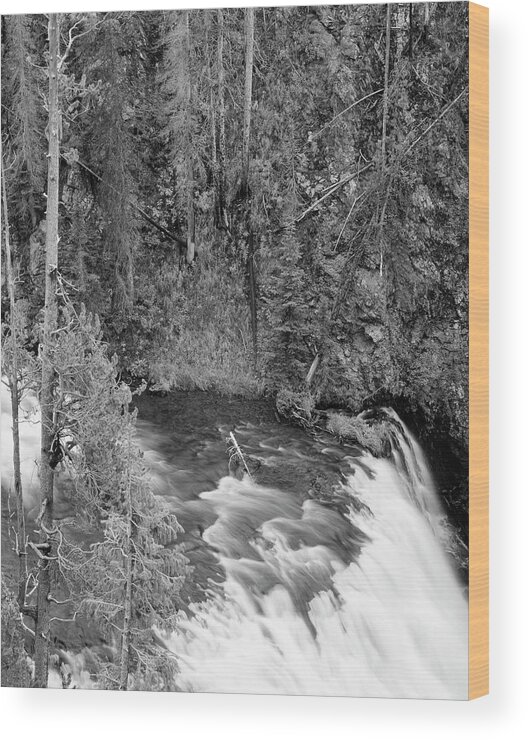 Adnt Wood Print featuring the photograph USA, Wyoming, Yellowstone National #4 by Scott T. Smith