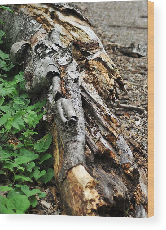 Tree Wood Print featuring the photograph Rotting Log by Gene Tatroe