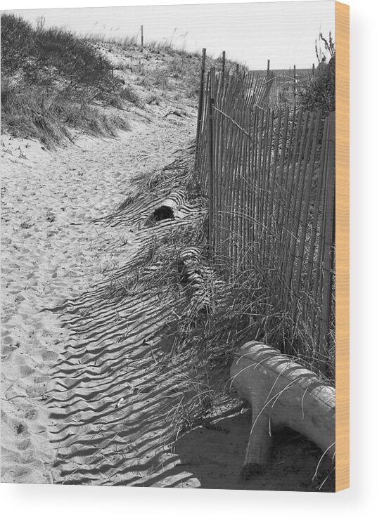 Beach Retaining Fence Wood Print featuring the photograph A Stroll In The Sand by Jeff Folger