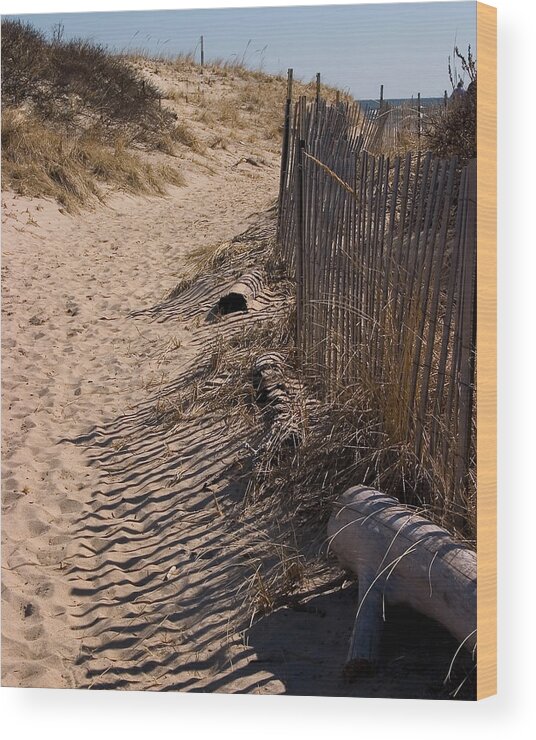 Beach Retaining Fence Wood Print featuring the photograph A walk to the beach by Jeff Folger
