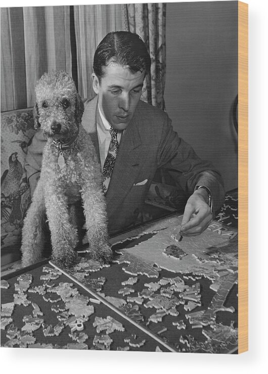 One Person Wood Print featuring the photograph Alfred Gwynne Vanderbilt Completing A Puzzle by John Swope